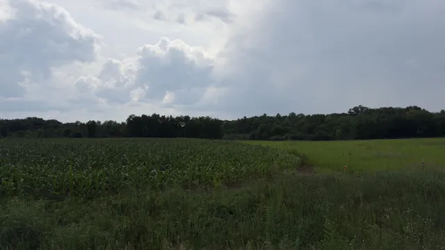 $270,000 | Xxx Xxx Athens, Stacy, MN 55079