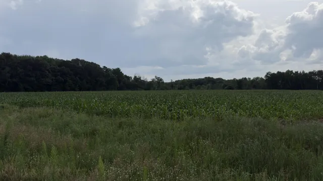 $270,000 | Xxx Xxx Athens, Stacy, MN 55079