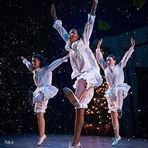 1039 Zelkova Lane Chapel Hill, NC 27517 - Photo 28 of 34 9. Carolina Performing Arts Center