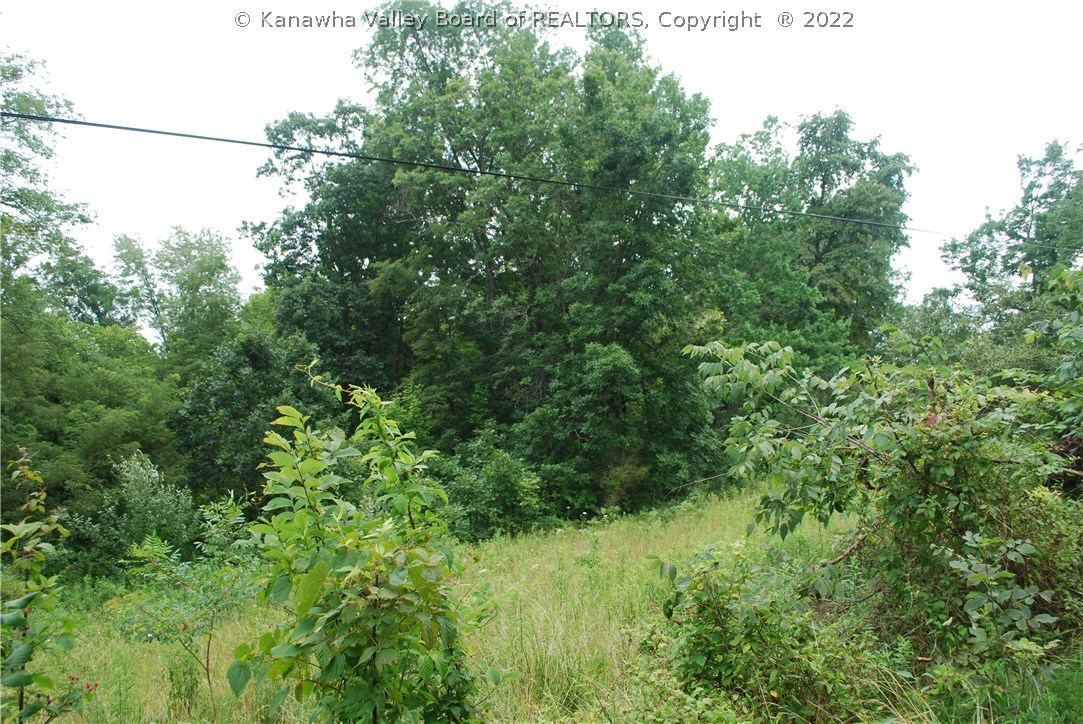 1620 Holmes Road Ashton, WV 25503 - Photo 7 of 17 Gallery Image 7
