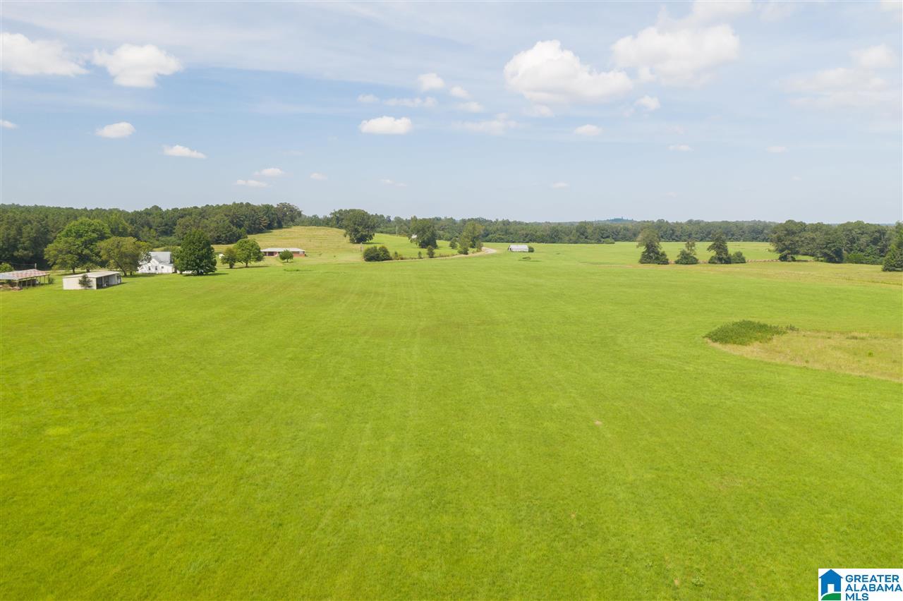 205 County Road 3 Reform, AL 35481 - Photo 4 of 46