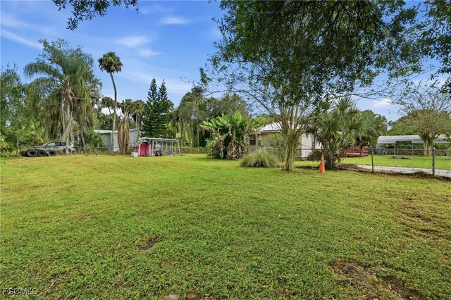 a view of a park with large trees