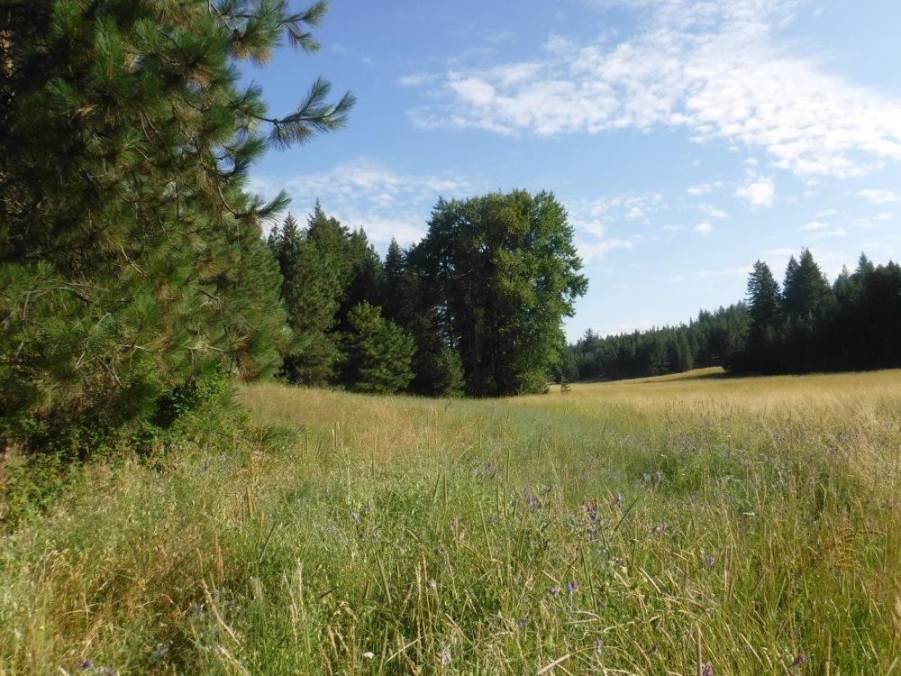 Lot 1 Southwest Moose Ridge Way Loon Lake, WA 99148 - Photo 1 of 13