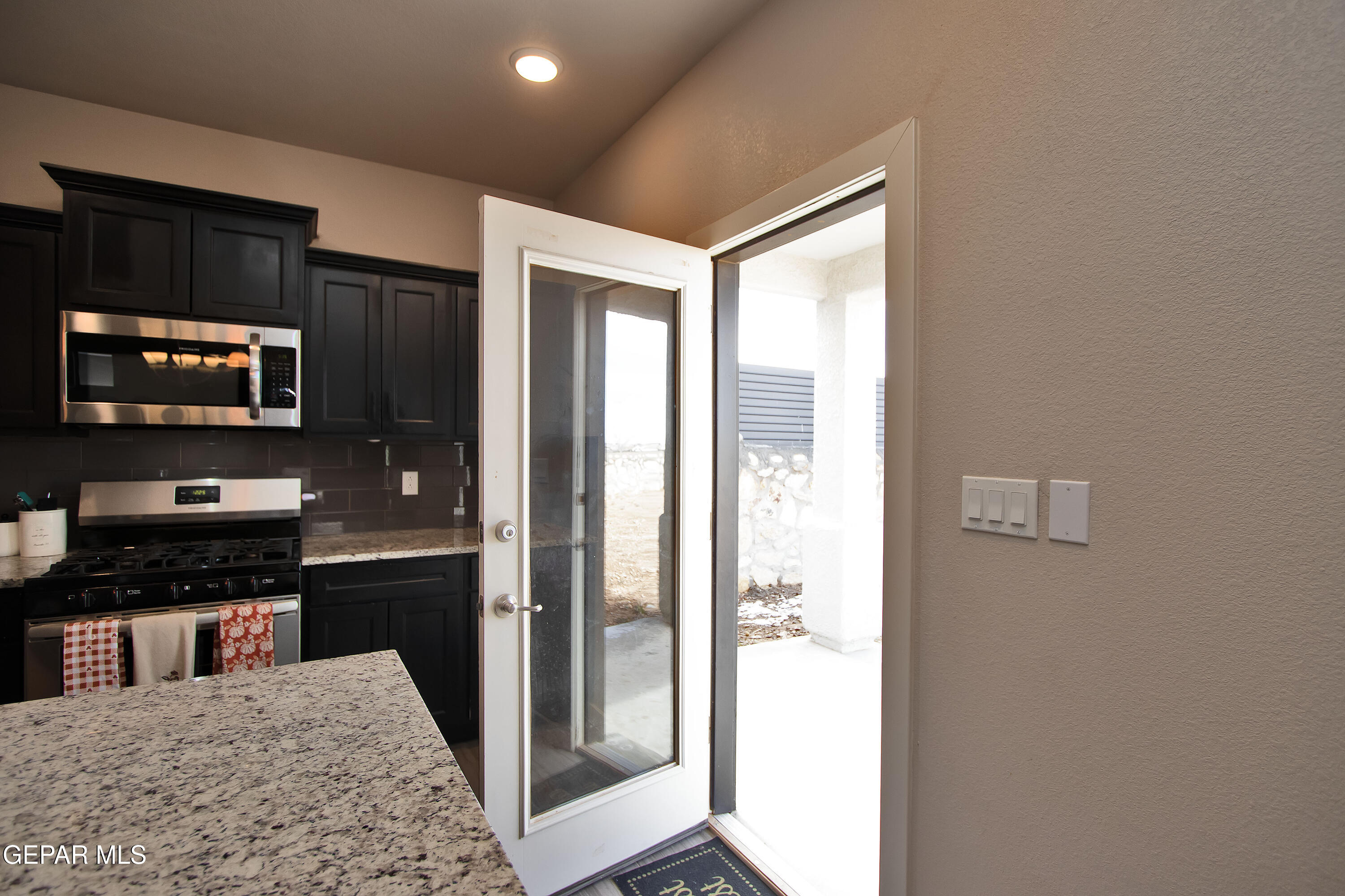 3517 Essence Street El Paso, TX 79938 - Photo 74 of 87 Back Door