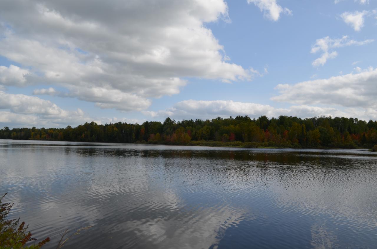 Parcel B Walleye Way Tomahawk, WI 54487 - Photo 5 of 25 Gallery Image 5