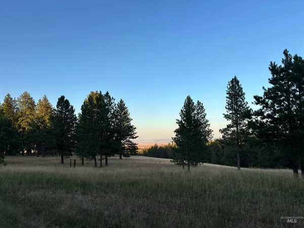 $225,000 | 36 & 37 Asotin Wa 99402, Asotin, WA 99402