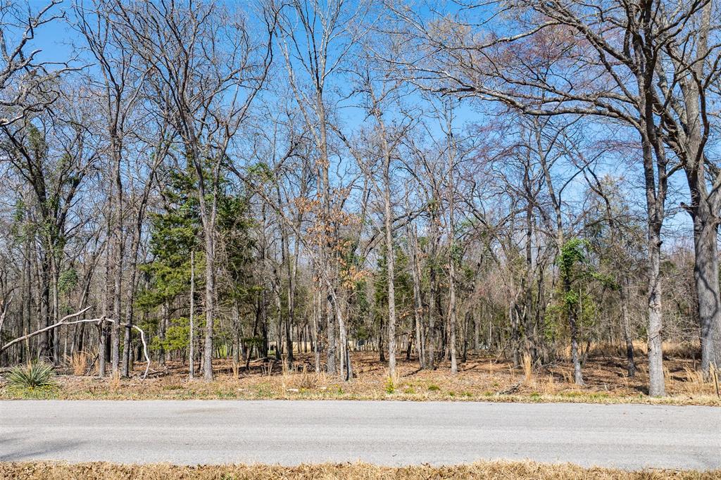 Lot 2 Windward Court Athens, TX 75752 - Photo 16 of 17