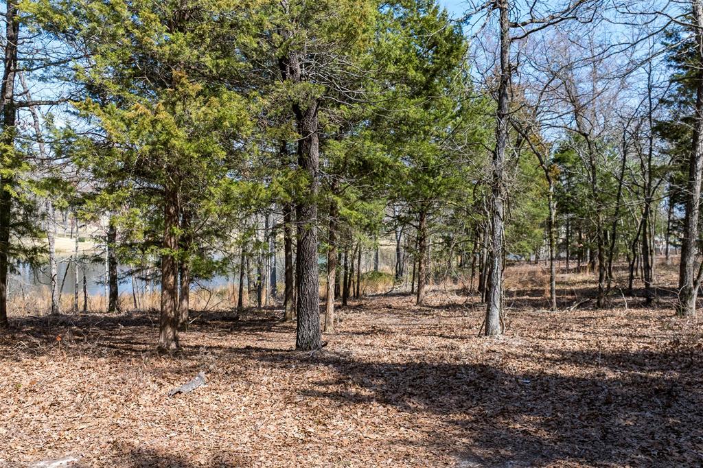 Lot 2 Windward Court Athens, TX 75752 - Photo 17 of 17