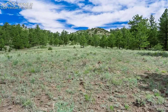 $289,000 | 8 County Road 102, Guffey, CO 80820