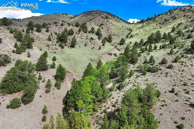 $289,000 | 8 County Road 102, Guffey, CO 80820