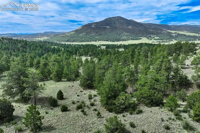 $289,000 | 8 County Road 102, Guffey, CO 80820