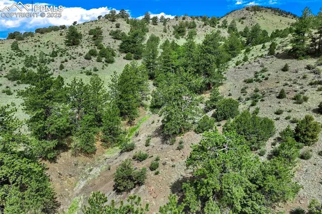$289,000 | 8 County Road 102, Guffey, CO 80820