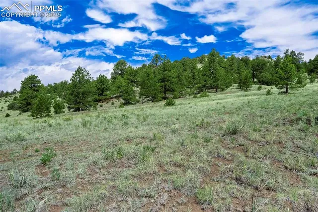 $289,000 | 8 County Road 102, Guffey, CO 80820
