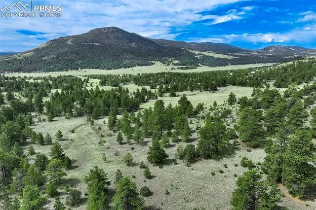 $289,000 | 8 County Road 102, Guffey, CO 80820
