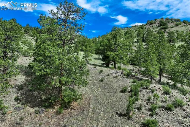 $289,000 | 8 County Road 102, Guffey, CO 80820