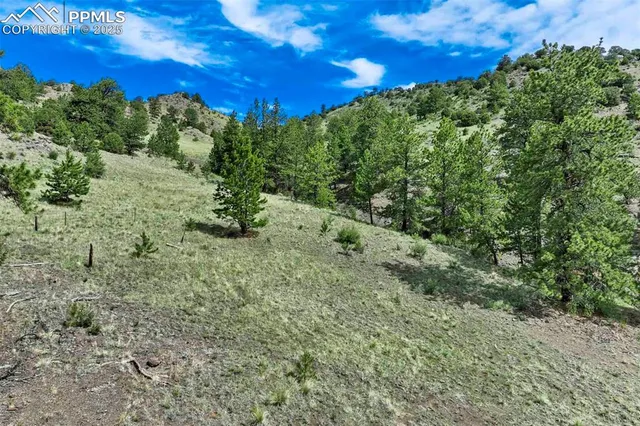 $289,000 | 8 County Road 102, Guffey, CO 80820