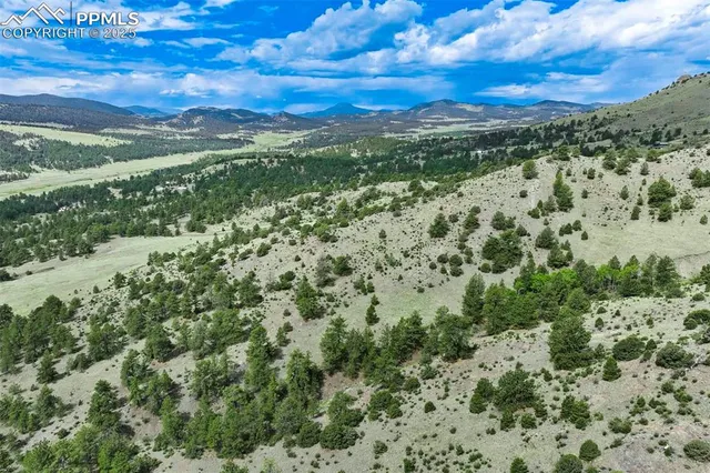 $289,000 | 8 County Road 102, Guffey, CO 80820