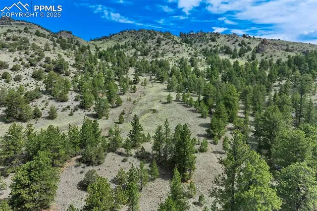 $289,000 | 8 County Road 102, Guffey, CO 80820