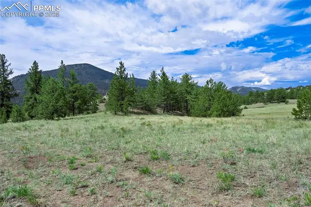 $289,000 | 8 County Road 102, Guffey, CO 80820