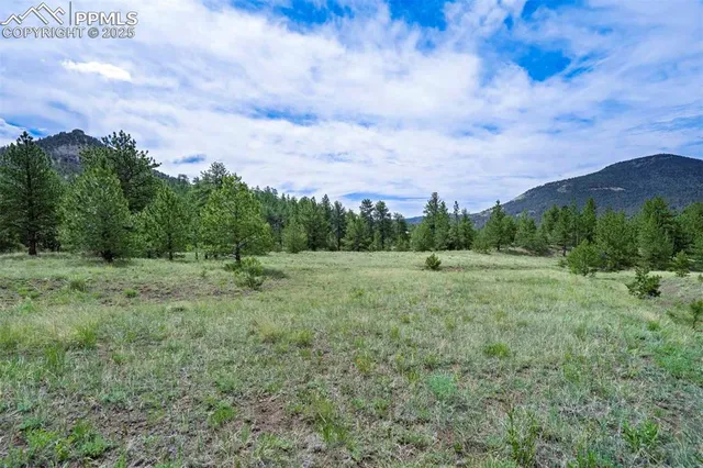 $289,000 | 8 County Road 102, Guffey, CO 80820