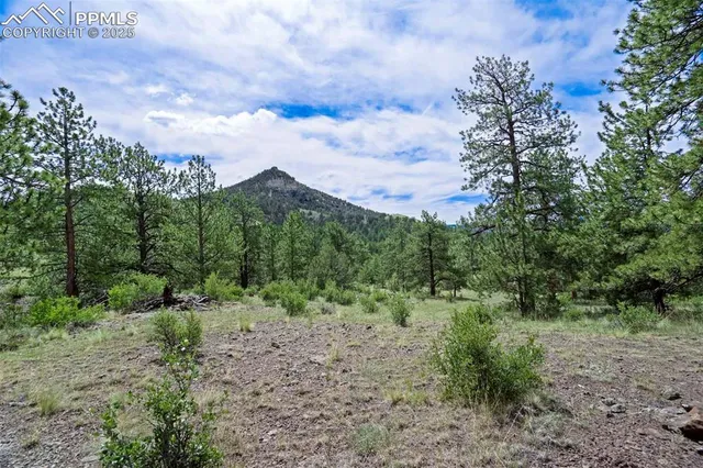 $289,000 | 8 County Road 102, Guffey, CO 80820