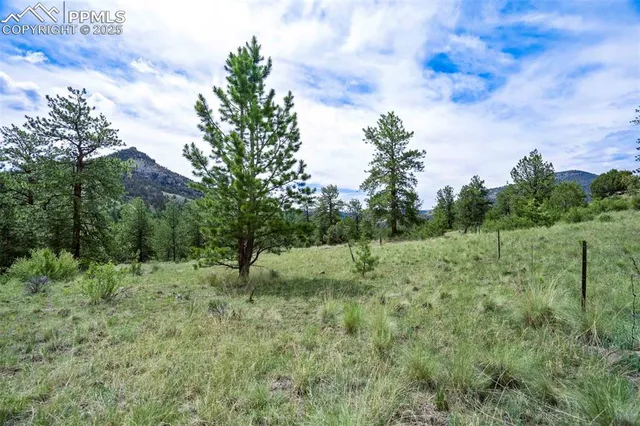 $289,000 | 8 County Road 102, Guffey, CO 80820