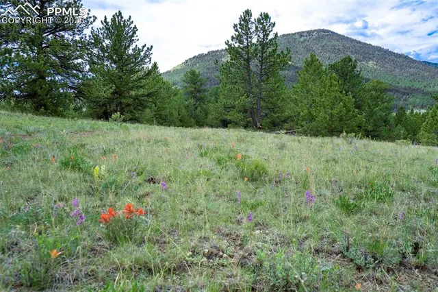 $289,000 | 8 County Road 102, Guffey, CO 80820