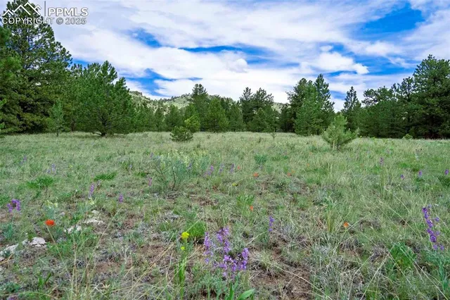 $289,000 | 8 County Road 102, Guffey, CO 80820
