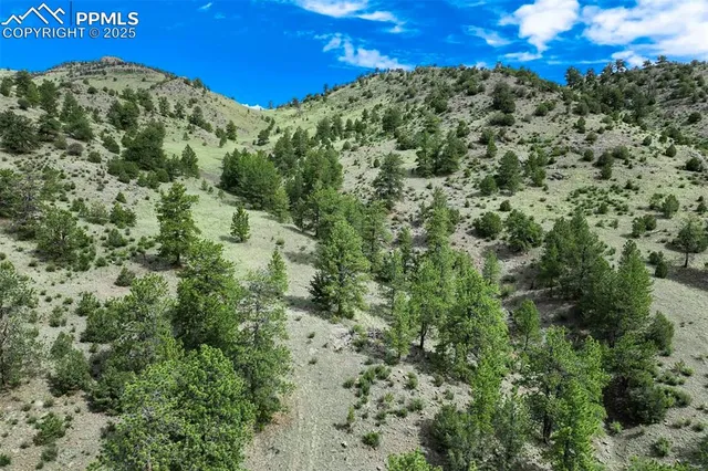 $289,000 | 8 County Road 102, Guffey, CO 80820