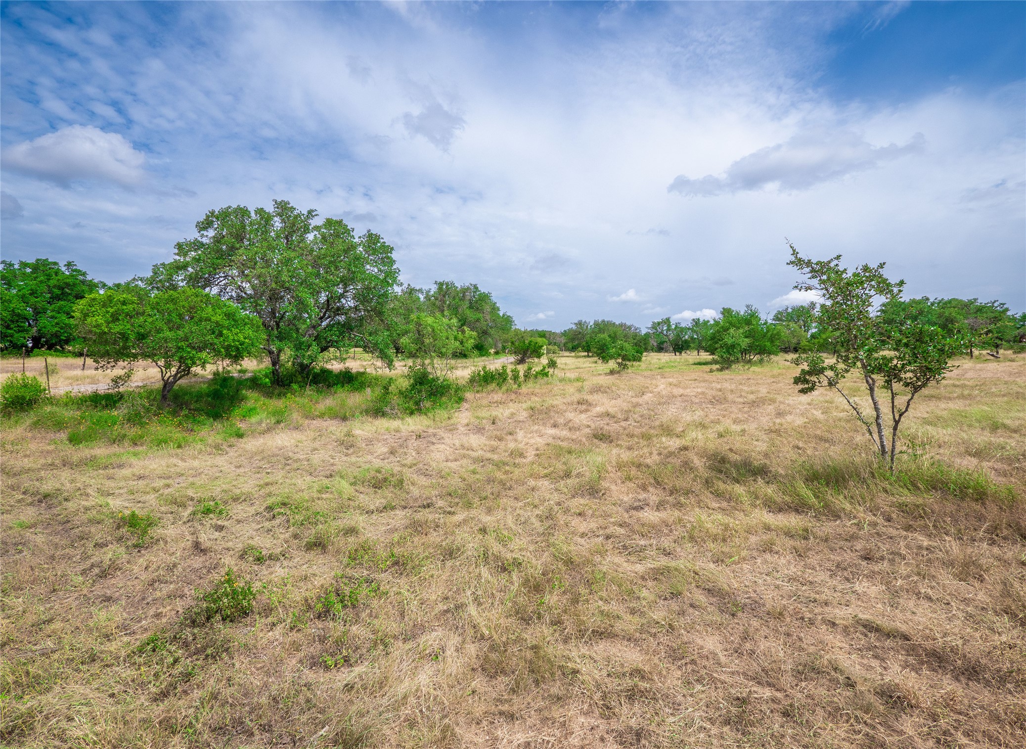Tbd Winnie Smith Road Round Mountain, TX 78663 - Photo 7 of 30 a backyard of a house with a garden and plants