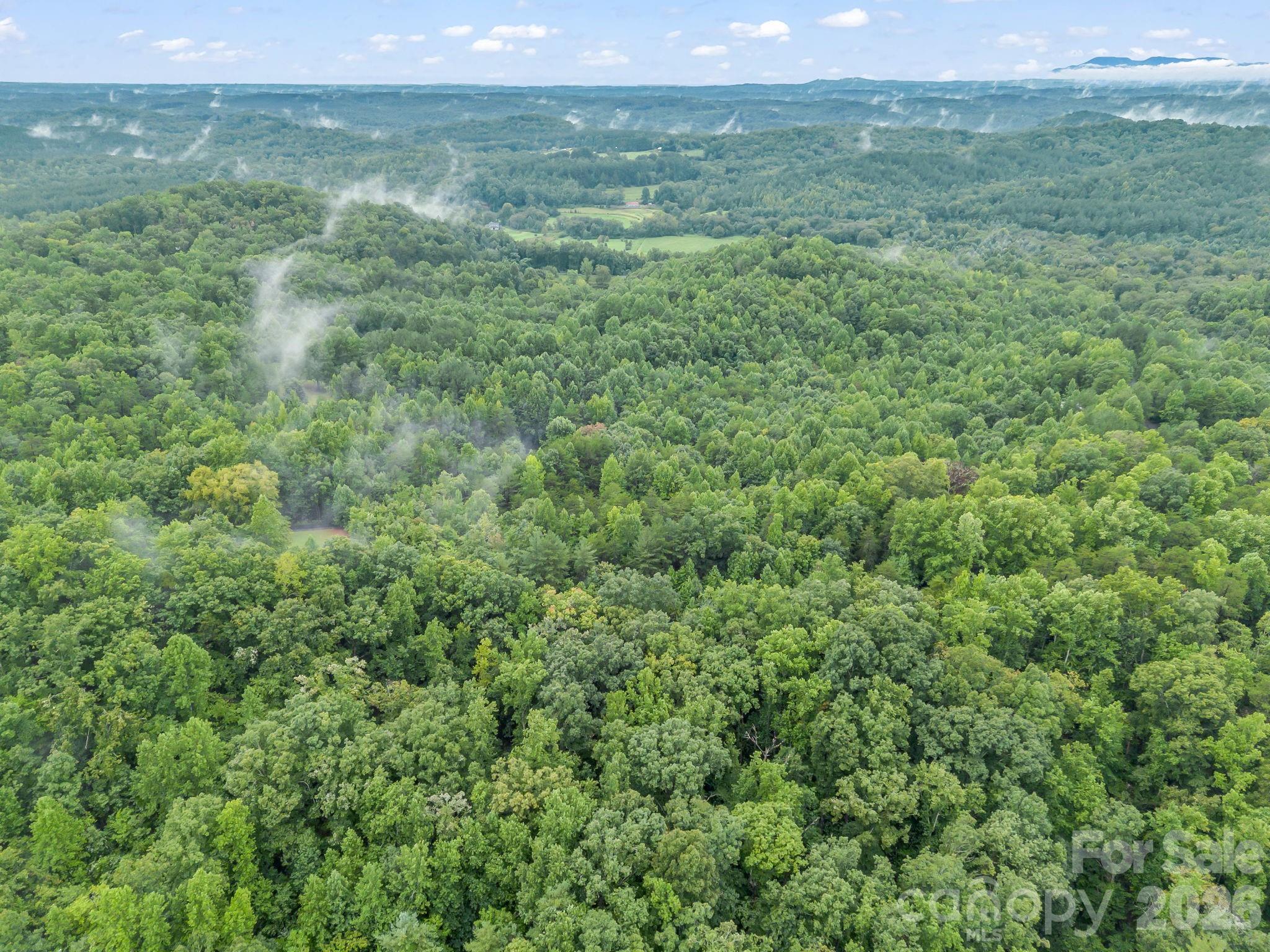 0 Observation Ridge Rutherfordton, NC 28139 - Photo 15 of 25 Gallery Image 15