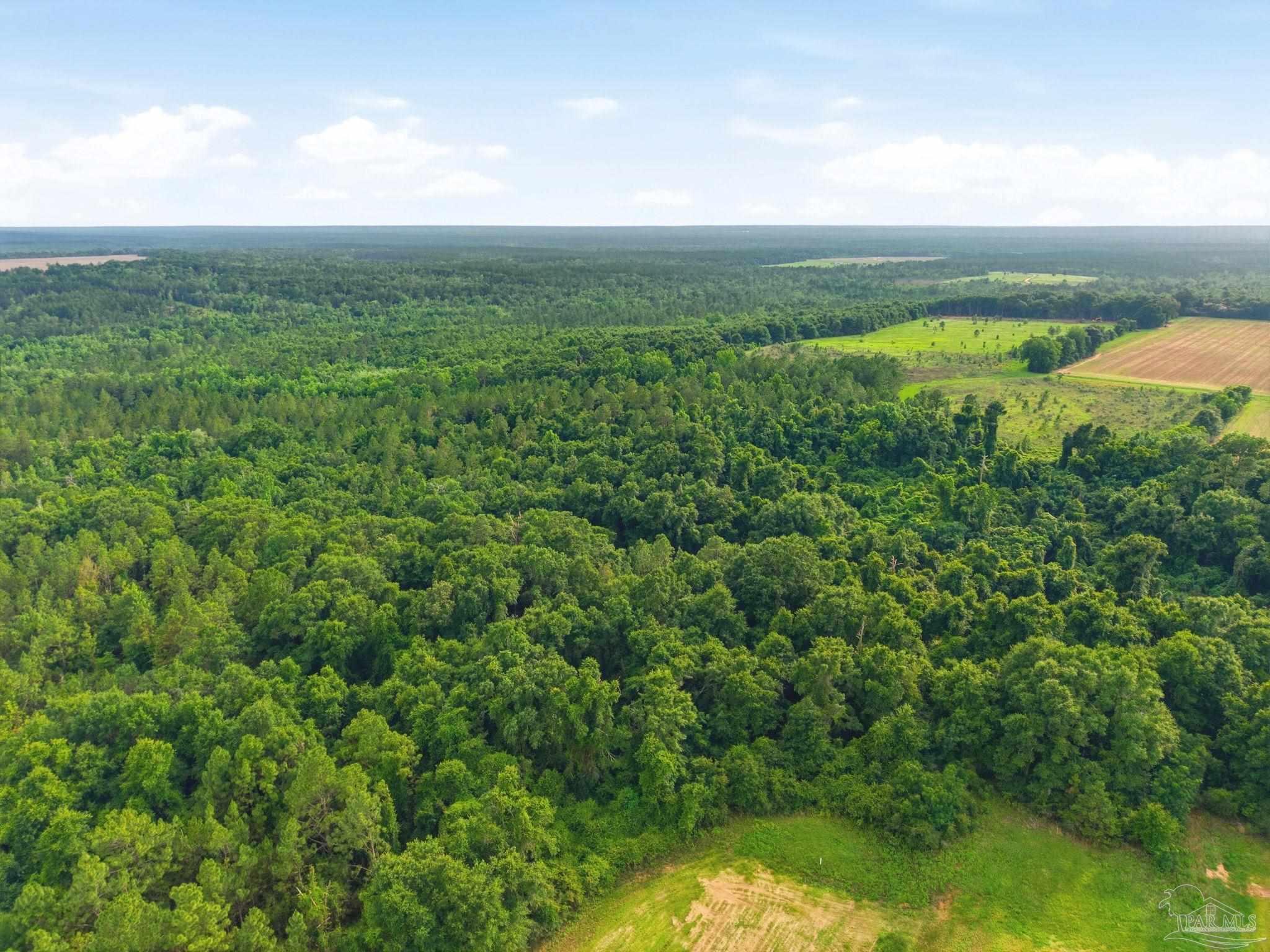 Lot 4 Mineral Springs Road Jay, FL 32565 - Photo 5 of 14 Gallery Image 5