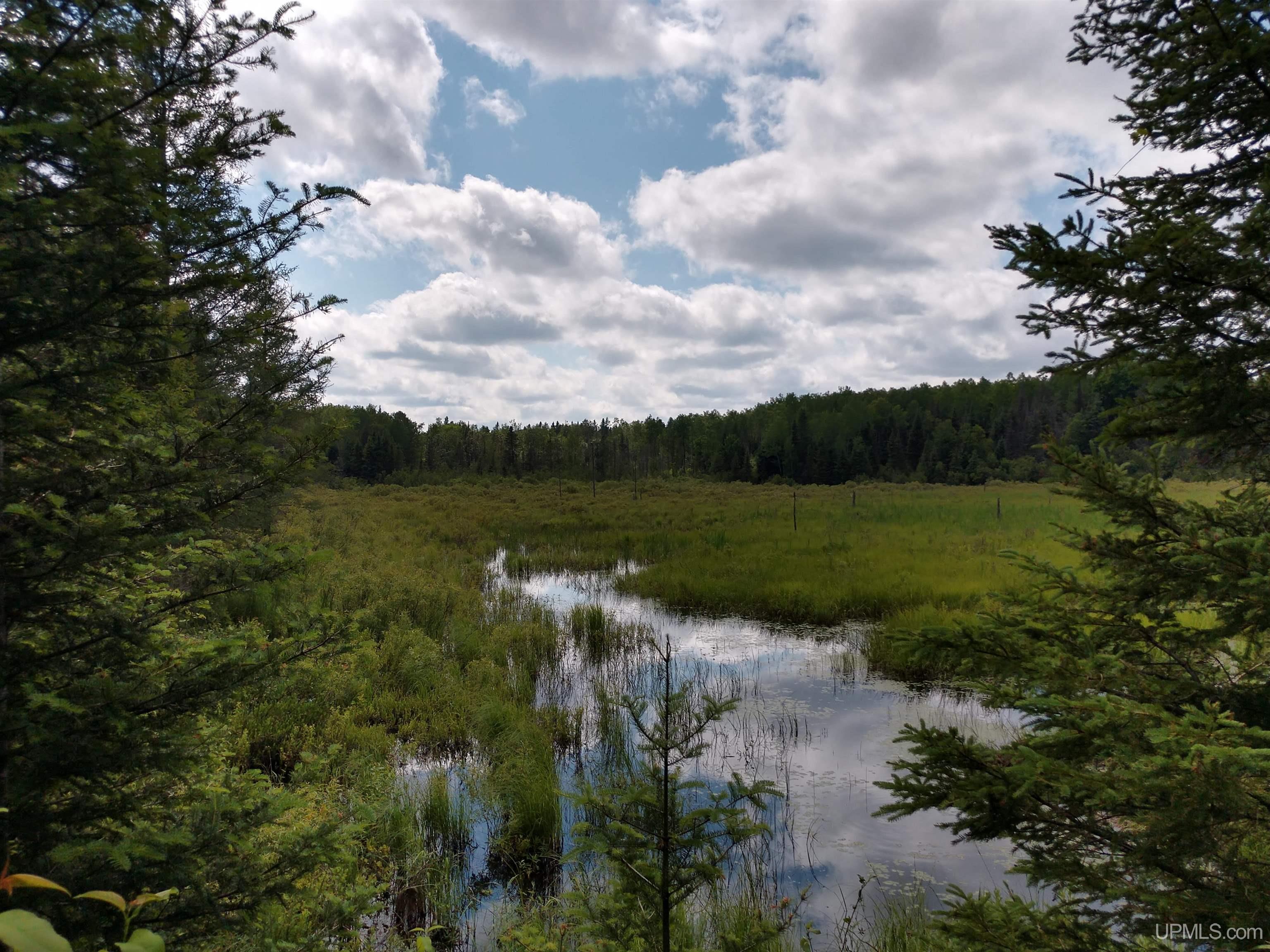 601 County Road 601 Road Republic, MI 49879 - Photo 15 of 60