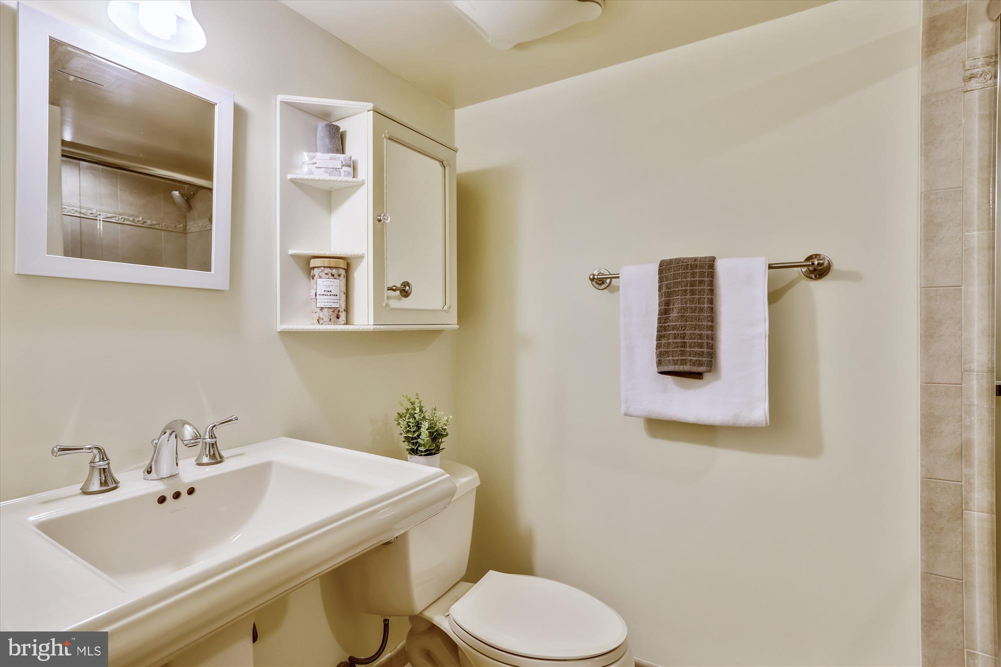 8427 Fort Hunt Road Alexandria, VA 22308 - Photo 22 of 35 Lower Level Bathroom