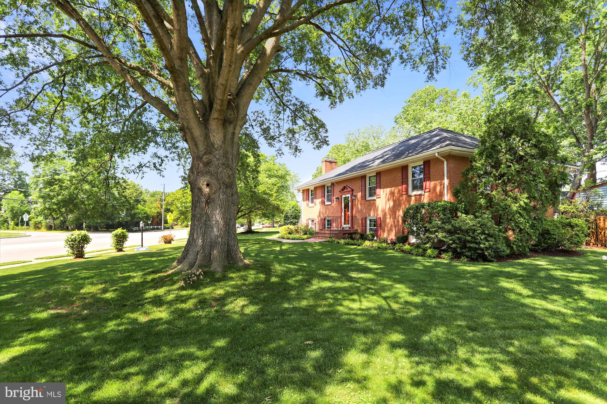8427 Fort Hunt Road Alexandria, VA 22308 - Photo 35 of 35 Large Corner Lot