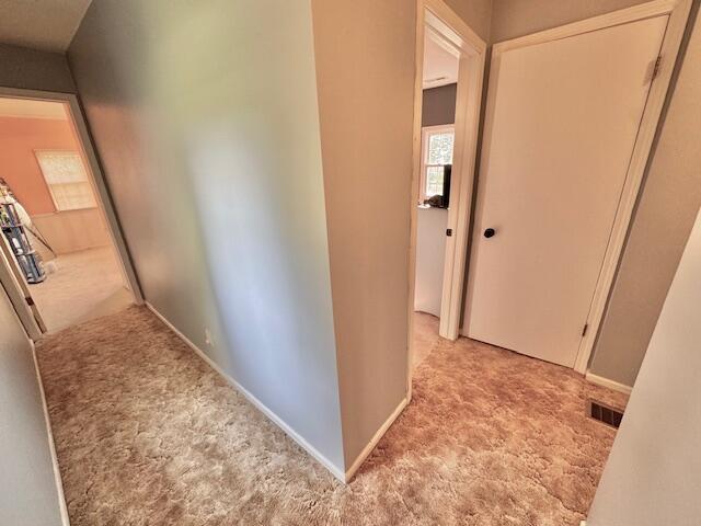 10035 Irish Road Vermontville, MI 49096 - Photo 37 of 53