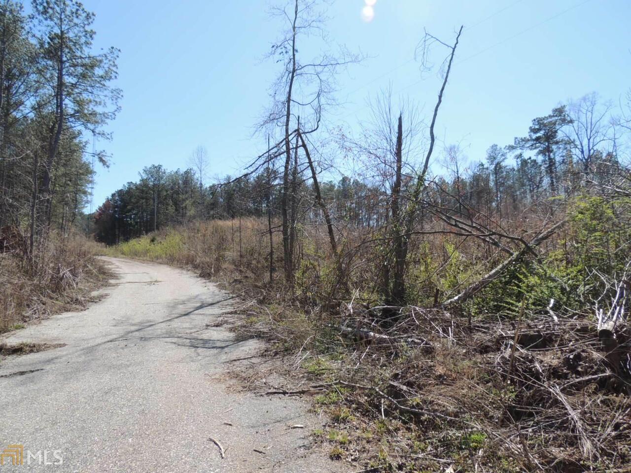 0 Lone Oak Road Greenville, GA 30222 - Photo 1 of 1 Gallery Image 1
