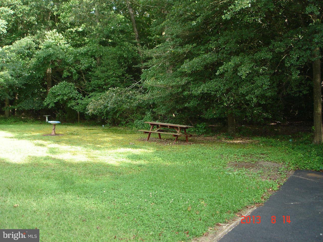 121 Sharp Road Denton, MD 21629 - Photo 9 of 22 View