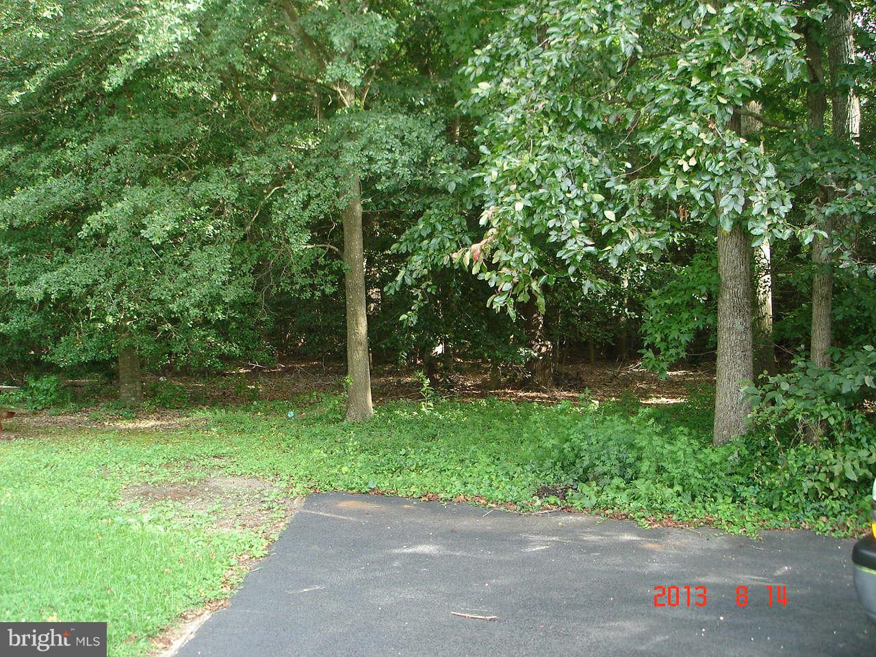 121 Sharp Road Denton, MD 21629 - Photo 10 of 22 View
