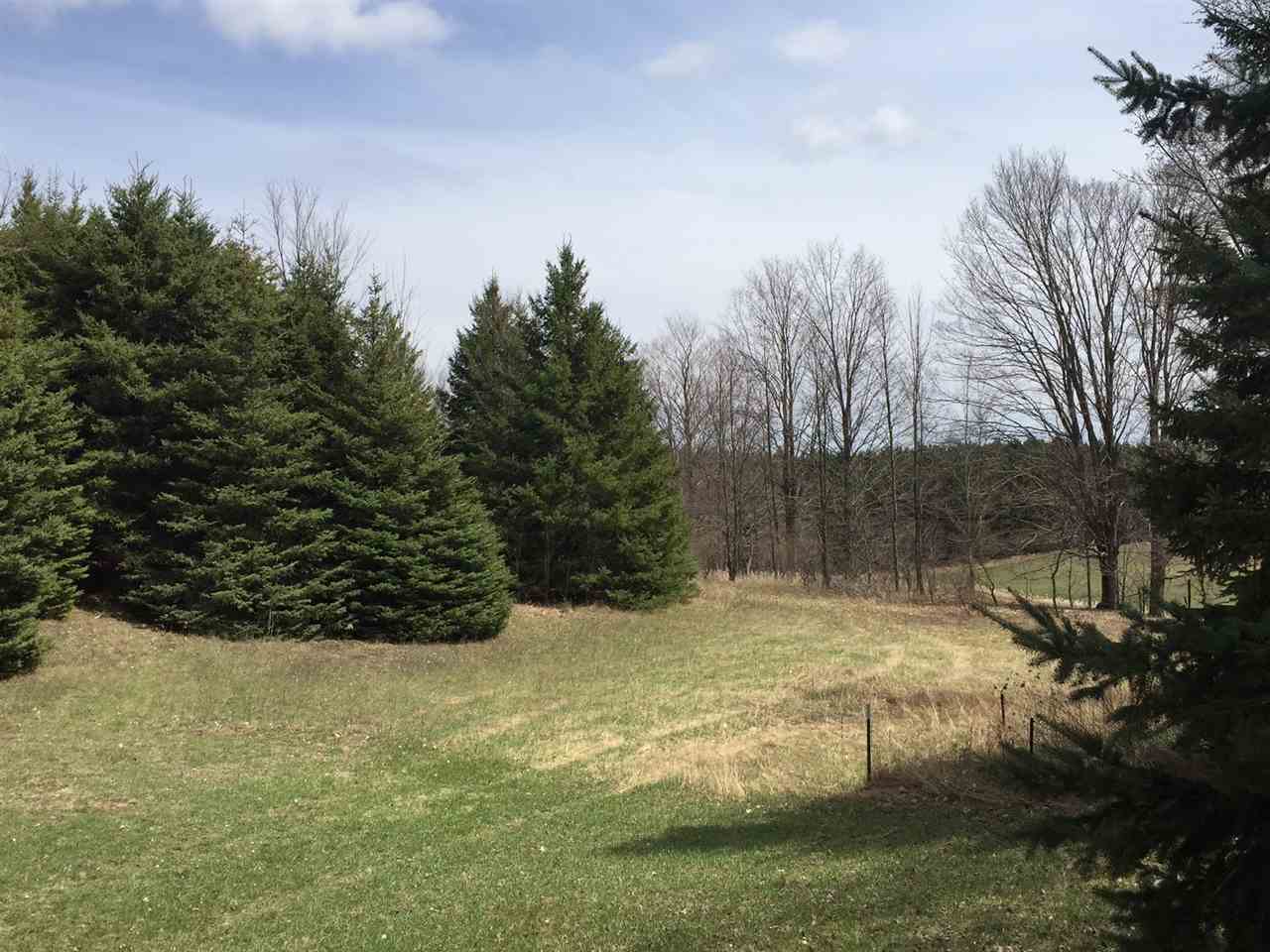 4704 North Seeley Road Manton, MI 49663 - Photo 13 of 63 1808126-12.JPG