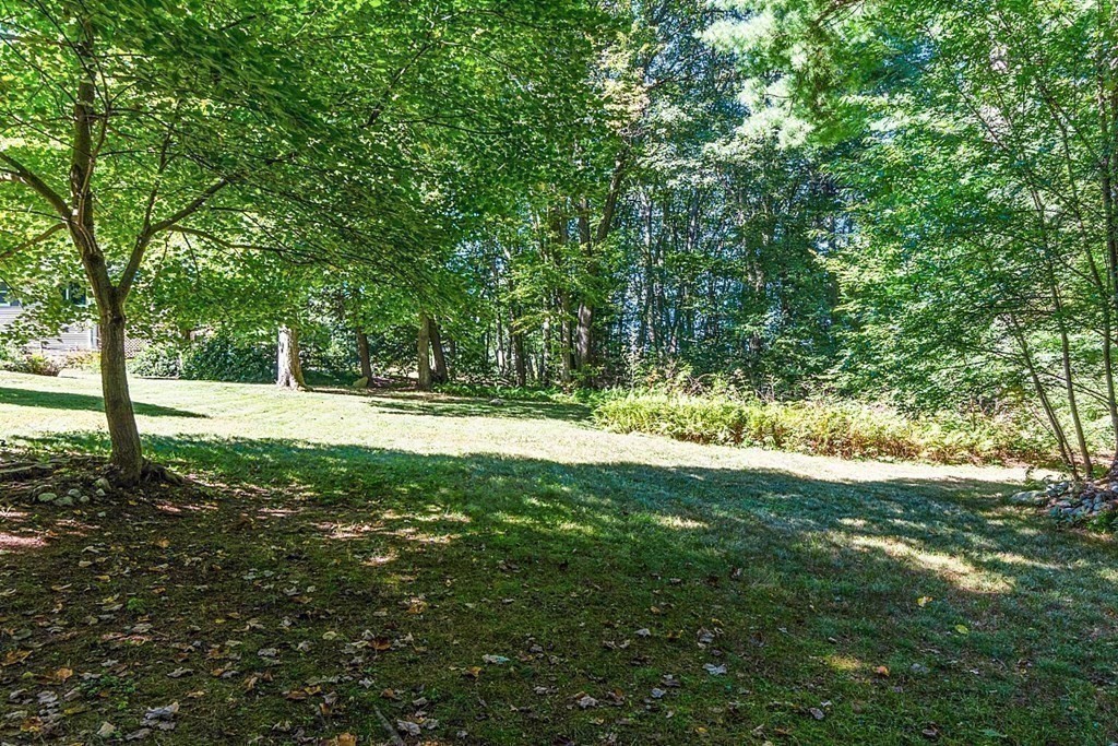 11 Mc Intosh Road Chelmsford, MA 01824 - Photo 20 of 20 a view of yard with green space