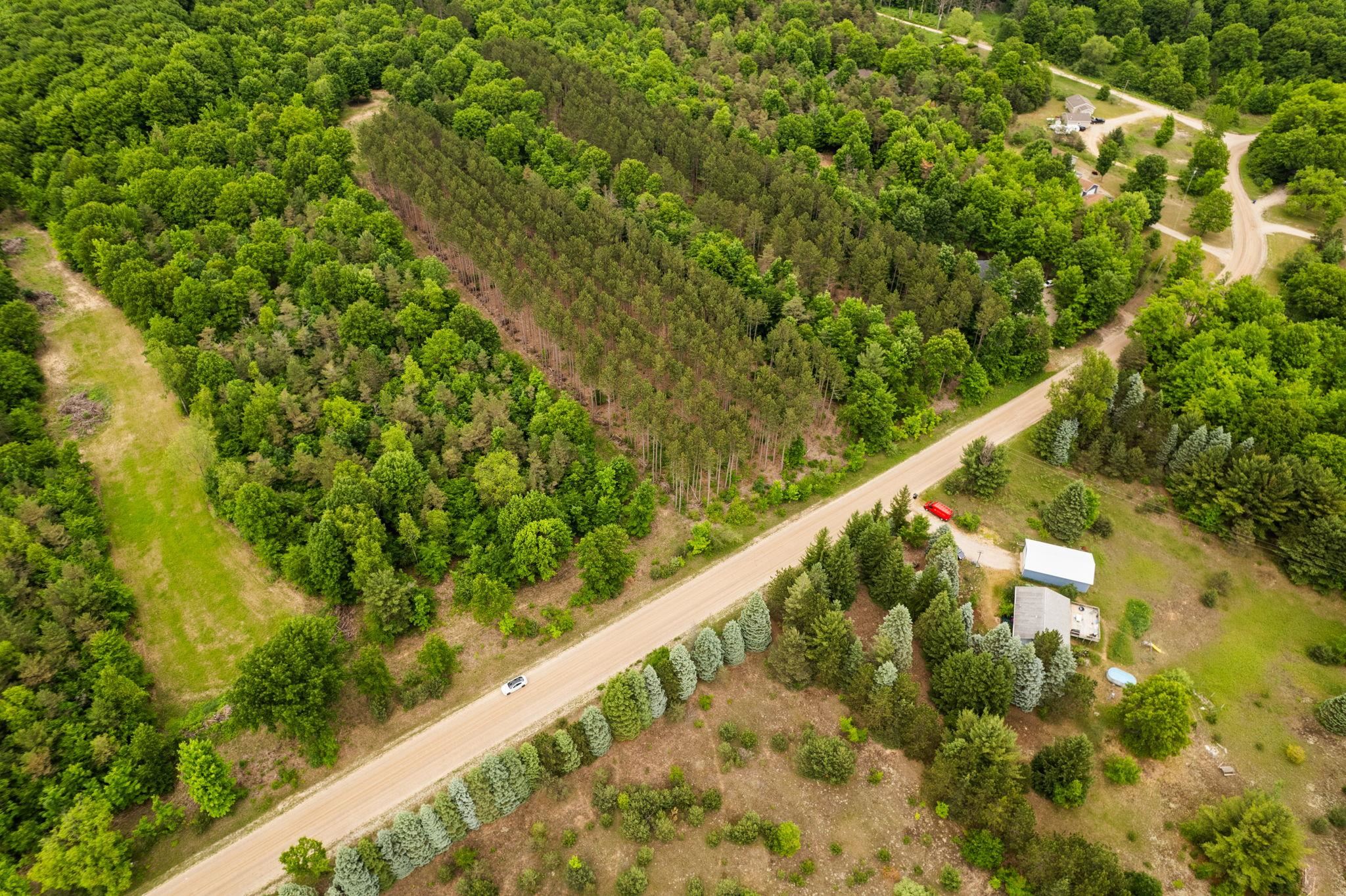 Parcel E St Johns Road Interlochen, MI 49643 - Photo 22 of 39