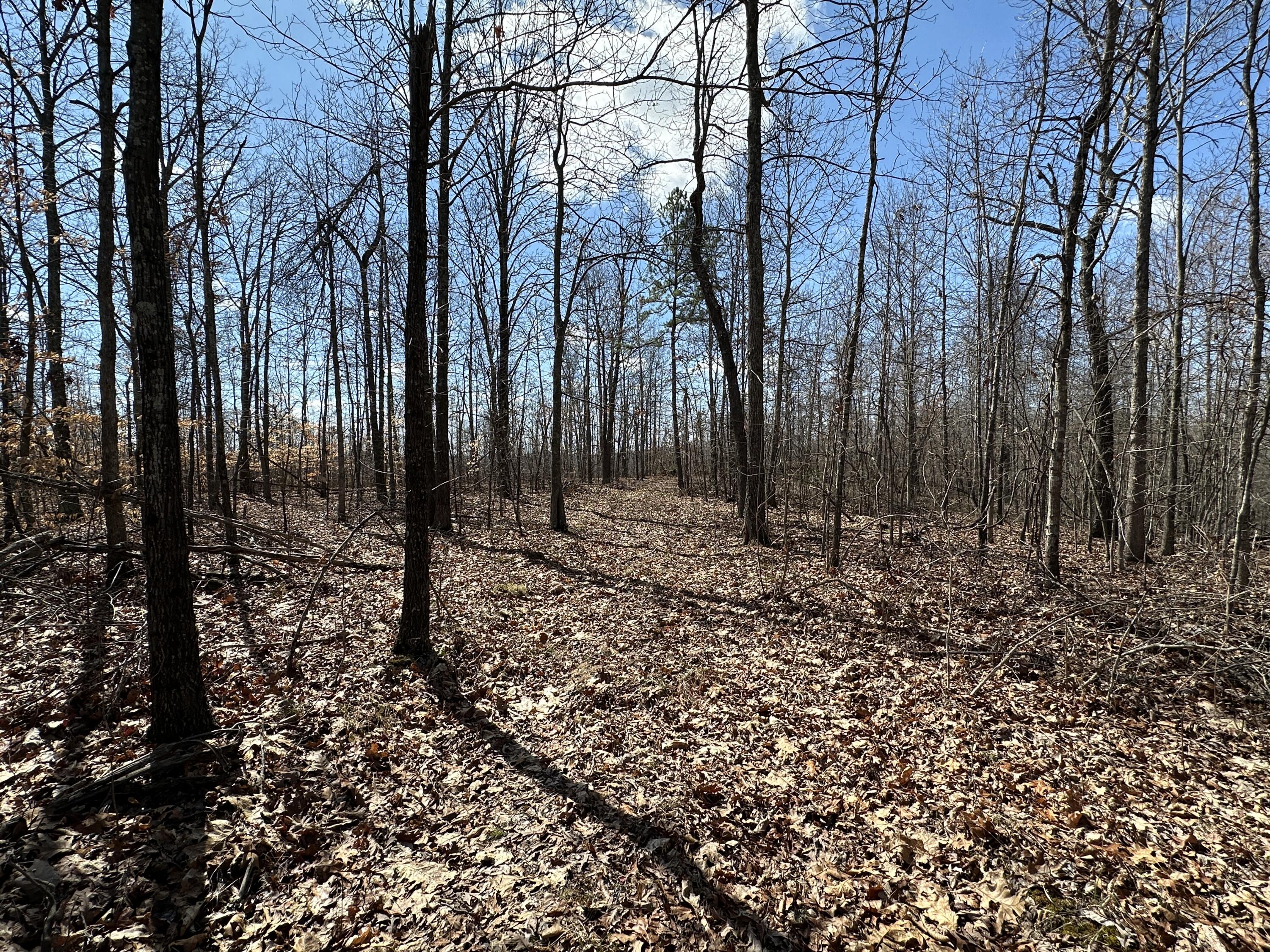 ridge top