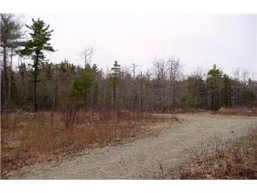 5-6 Cowper Road Wolfeboro, NH 03894 - Photo 3 of 7