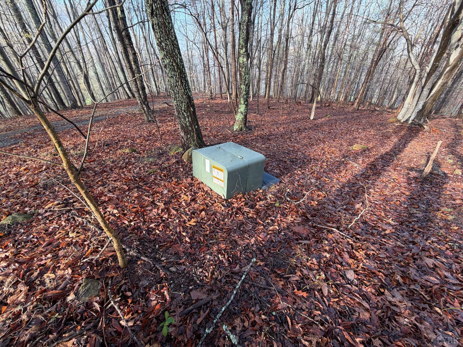1378 Cove Creek Farm Road Coleman Falls, VA 24536 - Photo 11 of 20 a view of a backyard