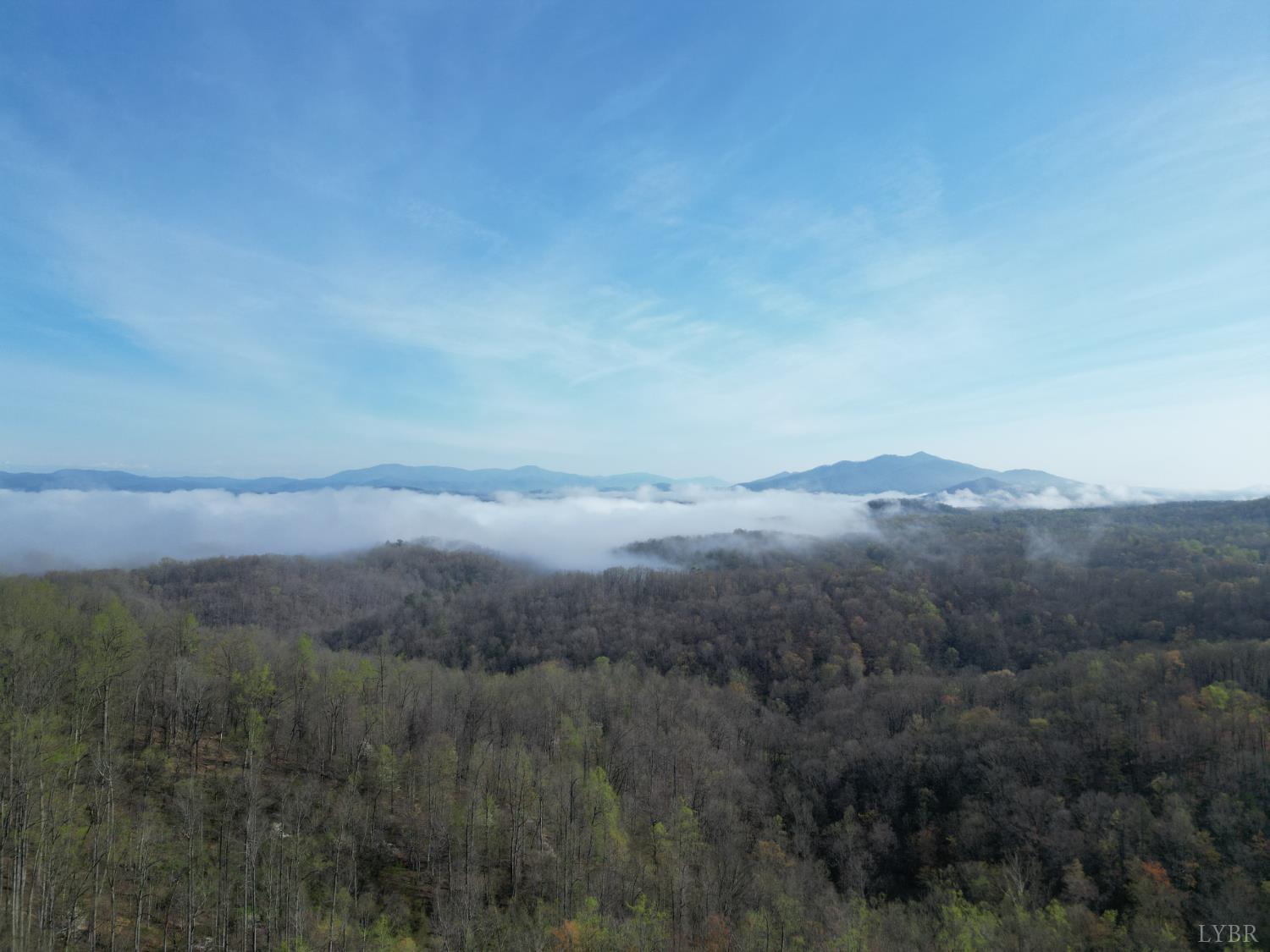 1378 Cove Creek Farm Road Coleman Falls, VA 24536 - Photo 4 of 20 a view of a mountain range with lush green forest