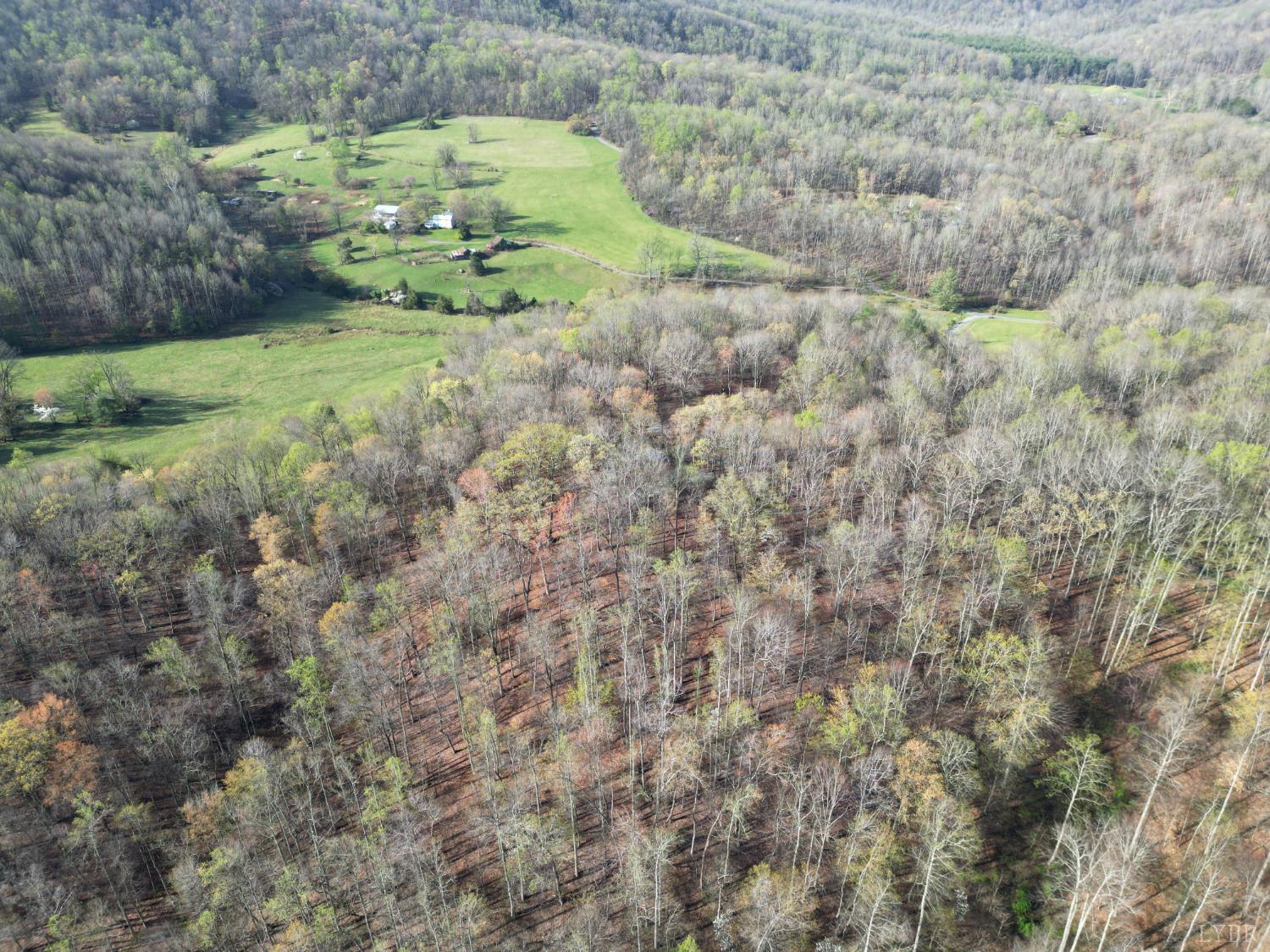1378 Cove Creek Farm Road Coleman Falls, VA 24536 - Photo 5 of 20 a backyard of a house with a yard and large trees