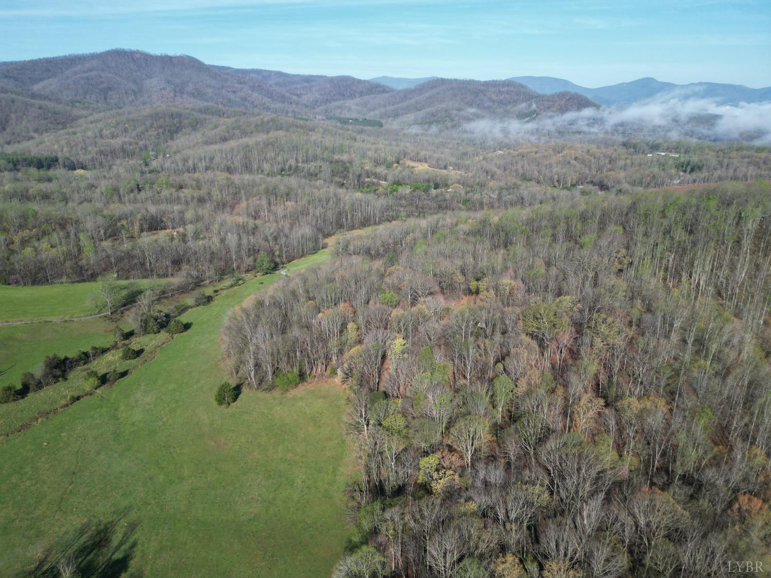 1378 Cove Creek Farm Road Coleman Falls, VA 24536 - Photo 6 of 20 a view of a mountain range with lush green forest