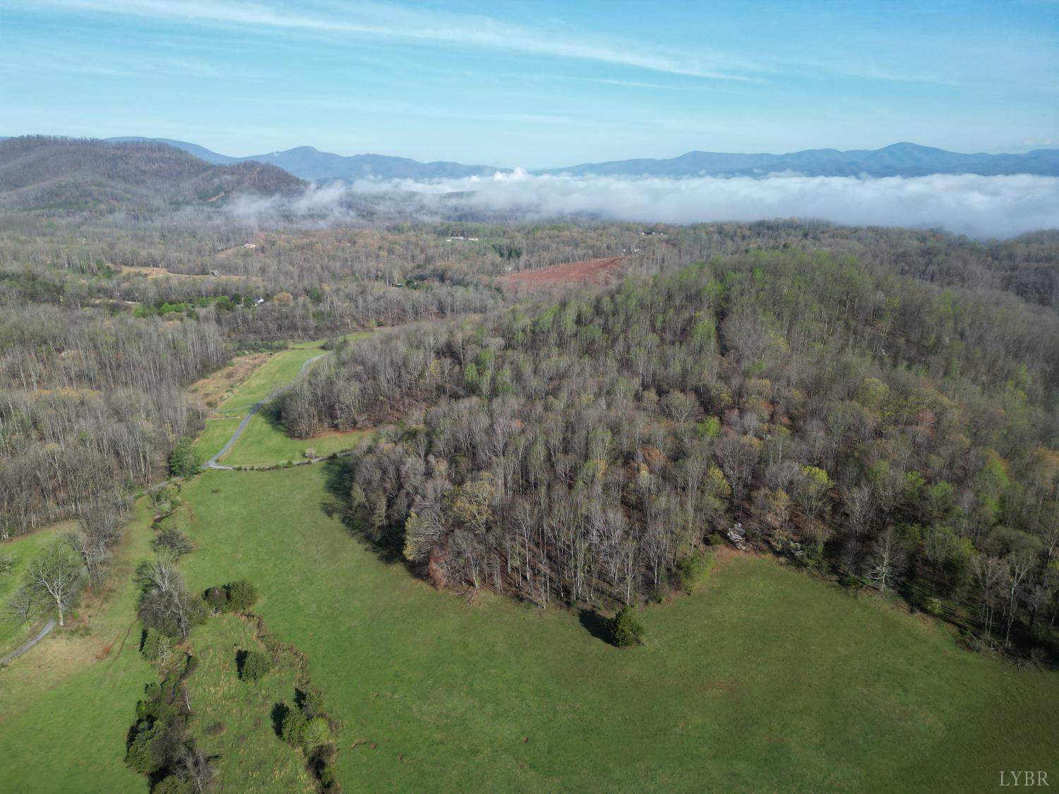 1378 Cove Creek Farm Road Coleman Falls, VA 24536 - Photo 7 of 20 a view of a lush green forest with top of a house