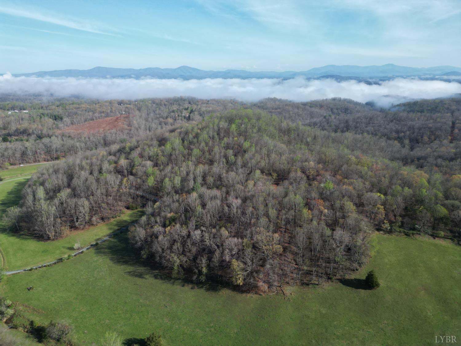 1378 Cove Creek Farm Road Coleman Falls, VA 24536 - Photo 8 of 20 a view of a field with a forest